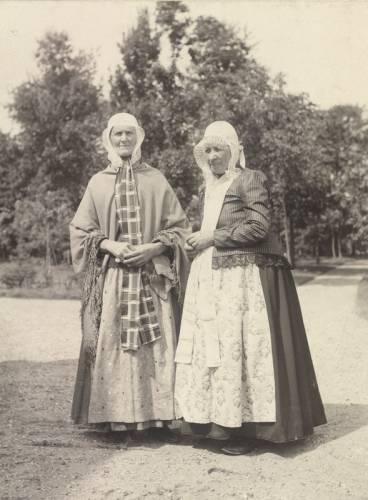        Zdj: 789 
Dodane: 2008.07.8