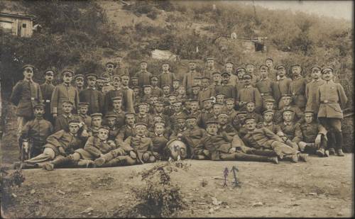 Zdj: 819
Dodane: 2008.07.22