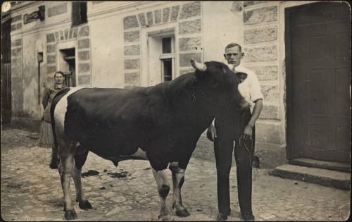 Zdj: 827
Dodane: 2008.07.24