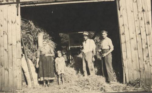 Zdj: 839
Dodane: 2008.11.4