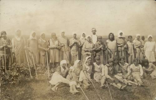 Zdj: 847
Dodane: 2008.11.14