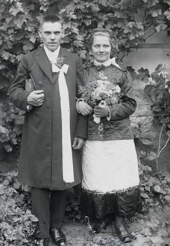        Zdj: 882 
Dodane: 2008.12.2