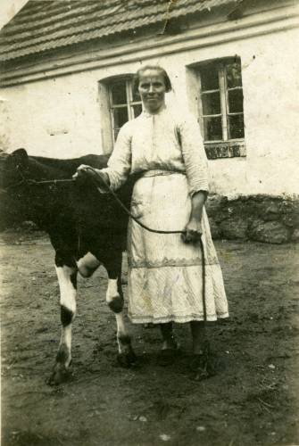        Zdj: 896 
Dodane: 2008.12.19