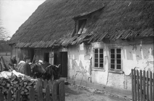 Zdj: 910
Dodane: 2009.01.12