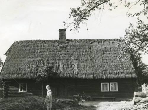 Zdj: 912
Dodane: 2009.01.13