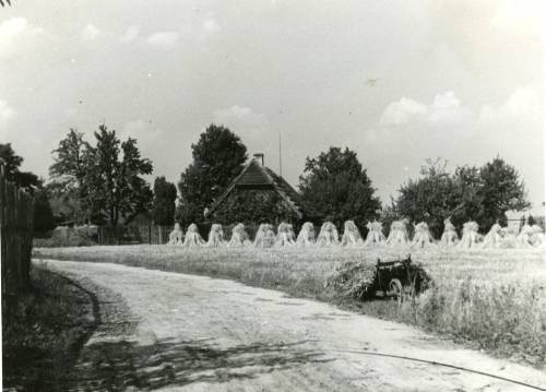        Zdj: 914 
Dodane: 2009.01.14