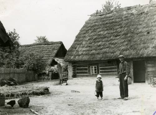        Zdj: 915 
Dodane: 2009.01.14