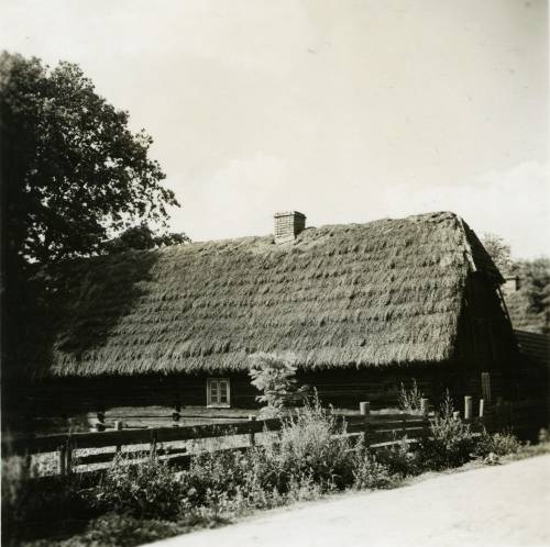 Zdj: 916
Dodane: 2009.01.15