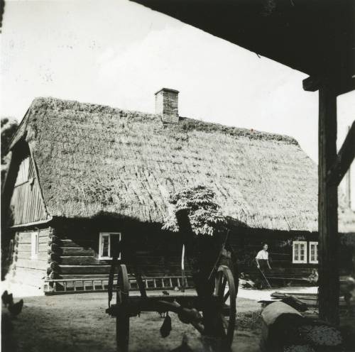 Zdj: 917
Dodane: 2009.01.15