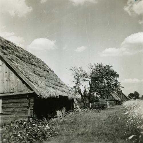 Zdj: 918
Dodane: 2009.01.15