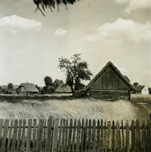 Zdj: 919
Dodane: 2009.01.16