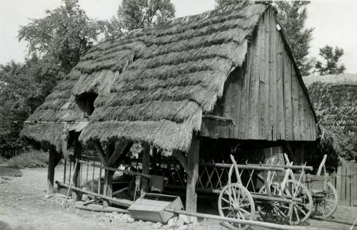 Zdj: 920
Dodane: 2009.01.16