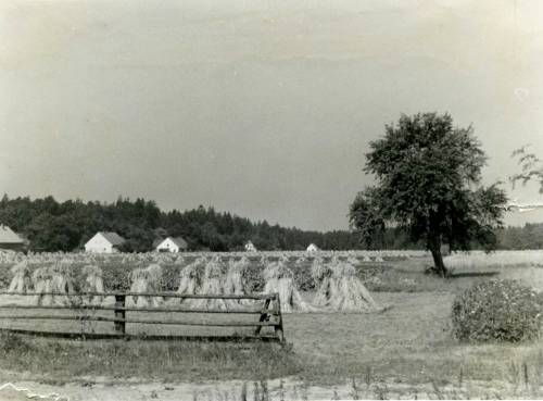 Zdj: 921
Dodane: 2009.01.16