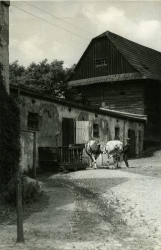 Zdj: 924
Dodane: 2009.01.16