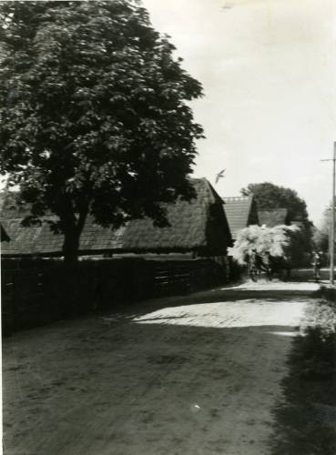 Zdj: 923
Dodane: 2009.01.16