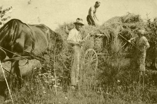 Zdj: 926
Dodane: 2009.01.19