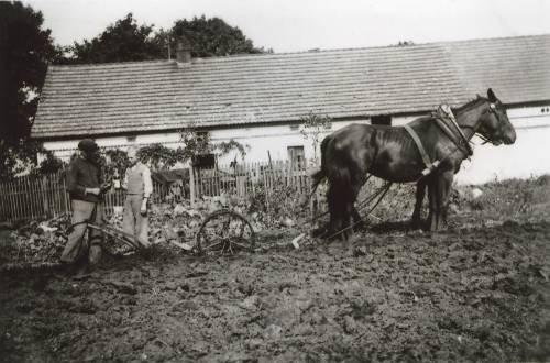 Zdj: 929
Dodane: 2009.01.23