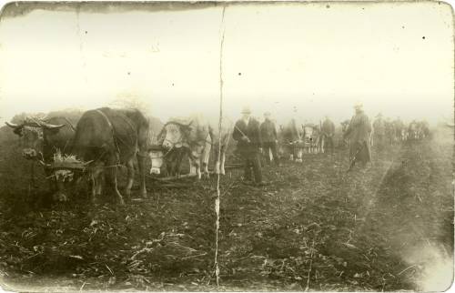 Zdj: 960
Dodane: 2009.02.6