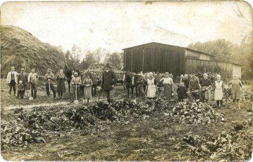 Zdj: 961
Dodane: 2009.02.6