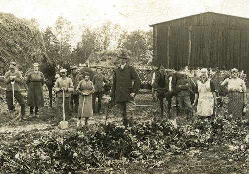 Zdj: 962
Dodane: 2009.02.6