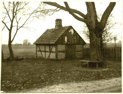 Zdj: 979
Dodane: 2009.04.8