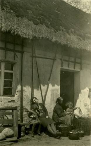 Zdj: 993
Dodane: 2010.02.17