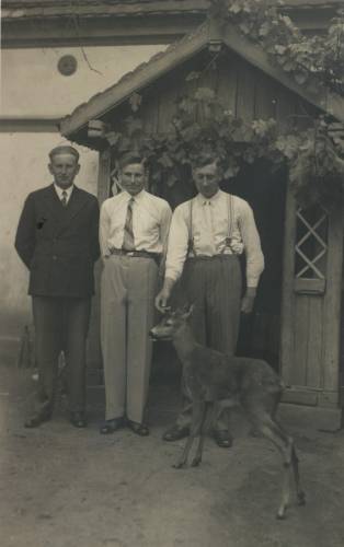 Zdj: 1000
Dodane: 2010.02.19