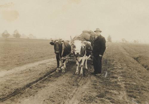 Zdj: 1004
Dodane: 2010.02.19