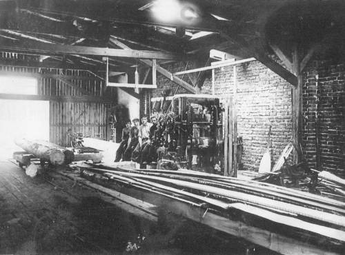 Zdj: 1029
Dodane: 2010.03.10