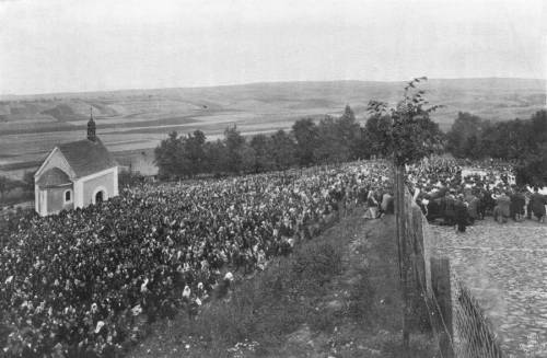 Zdj: 1032
Dodane: 2010.03.15