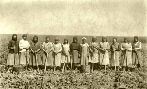 Zdj: 1048
Dodane: 2010.03.30