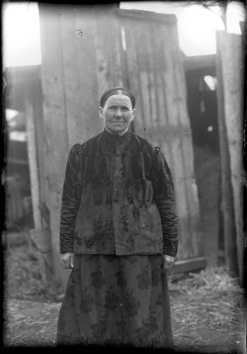        Zdj: 1153 
Dodane: 2011.04.14