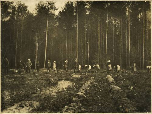 Zdj: 1222
Dodane: 2011.06.15