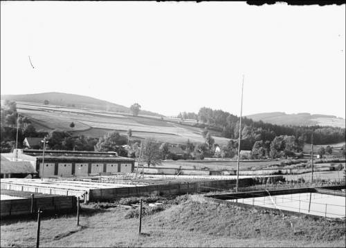 Zdj: 1256
Dodane: 2011.07.26