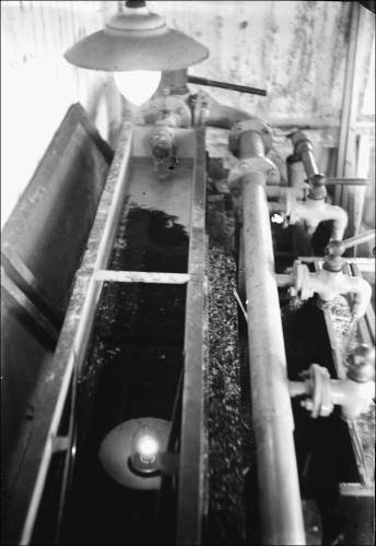 Zdj: 1260
Dodane: 2011.08.17