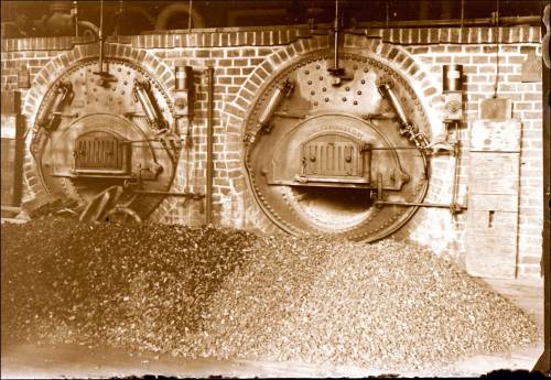 Zdj: 1261
Dodane: 2011.08.18