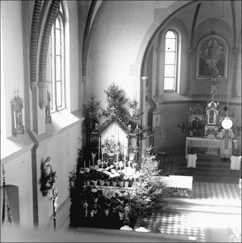 Zdj: 1265
Dodane: 2011.08.24