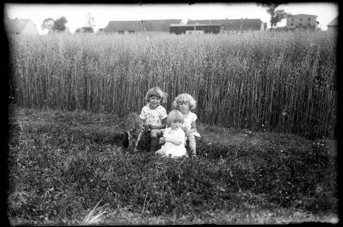 Zdj: 1285
Dodane: 2011.09.9