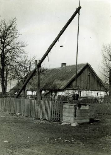 Zdj: 1296
Dodane: 2011.10.18