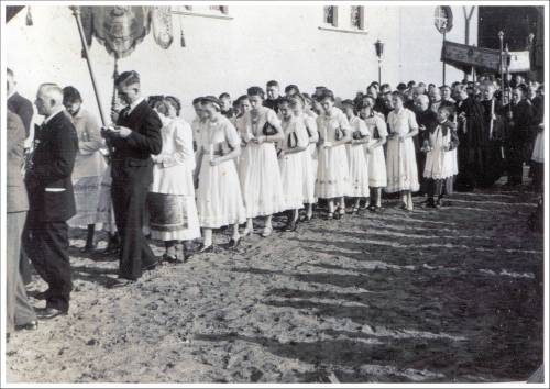 Zdj: 1363
Dodane: 2011.12.5