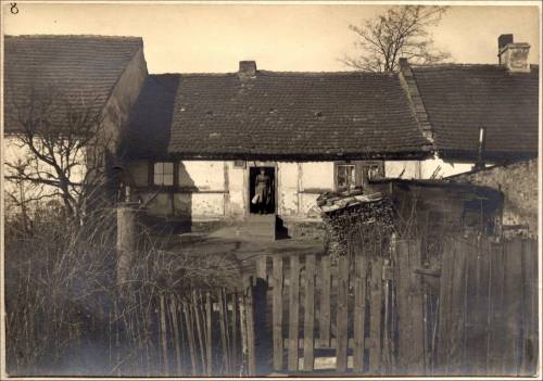 Zdj: 1364
Dodane: 2011.12.5