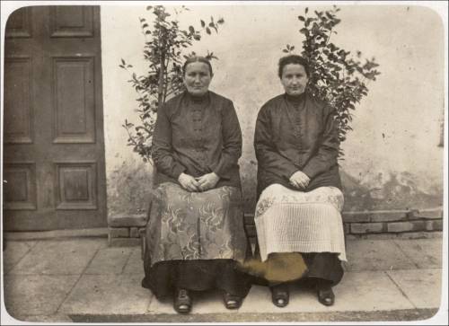        Zdj: 1369 
Dodane: 2011.12.6