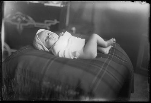 Zdj: 1379
Dodane: 2011.12.9