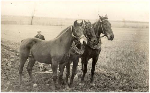 Zdj: 1384
Dodane: 2011.12.12