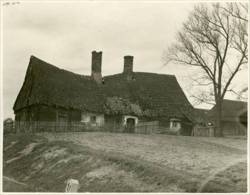 Zdj: 1422
Dodane: 2011.12.28