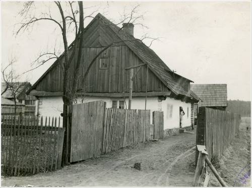        Zdj: 1423 
Dodane: 2012.01.3