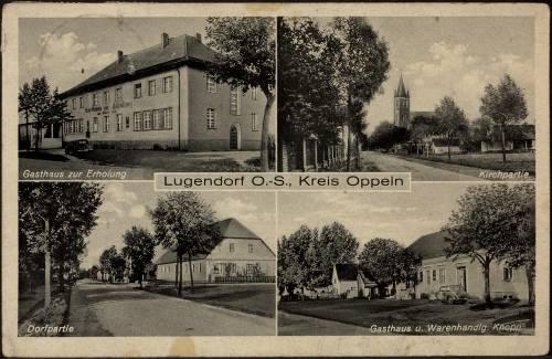 Zdj: 1462
Dodane: 2012.01.26