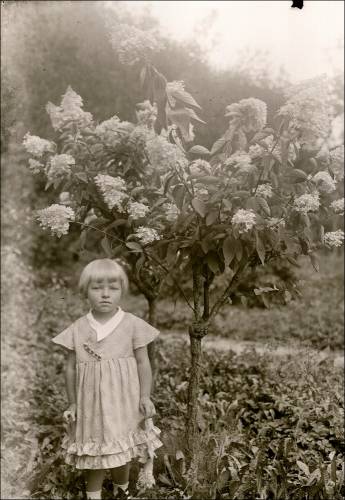 Zdj: 1484
Dodane: 2012.01.31