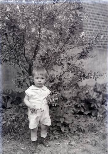 Zdj: 1485
Dodane: 2012.01.31