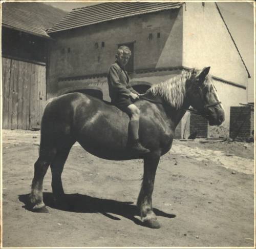 Zdj: 1525
Dodane: 2012.02.17